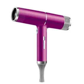 2200W Powerful Quick Hair Care Dryer  Q-M620