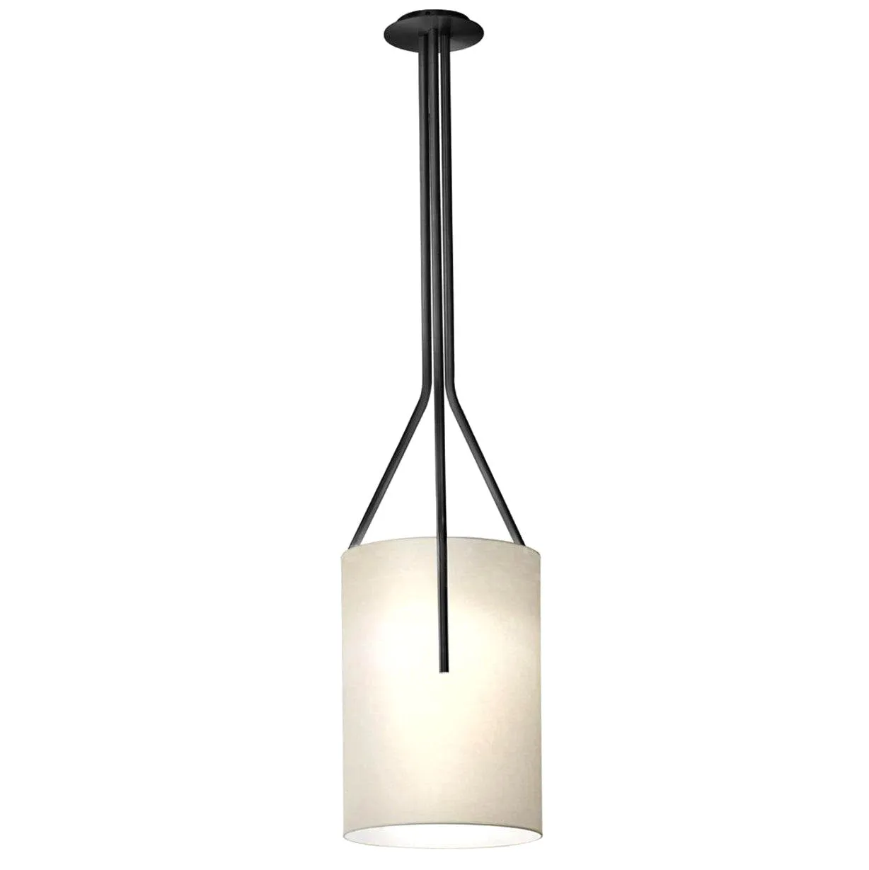 Arborescence Pendant Light