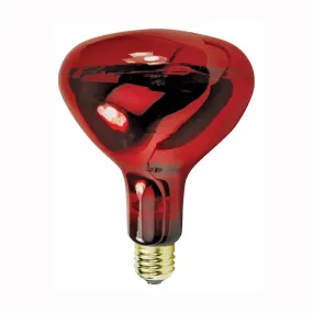 Feit Electric 250R40/10 Incandescent Lamp, 250 W, R40 Lamp, Medium E26 Lamp Base, Red Lamp, 2000 hr Average Life