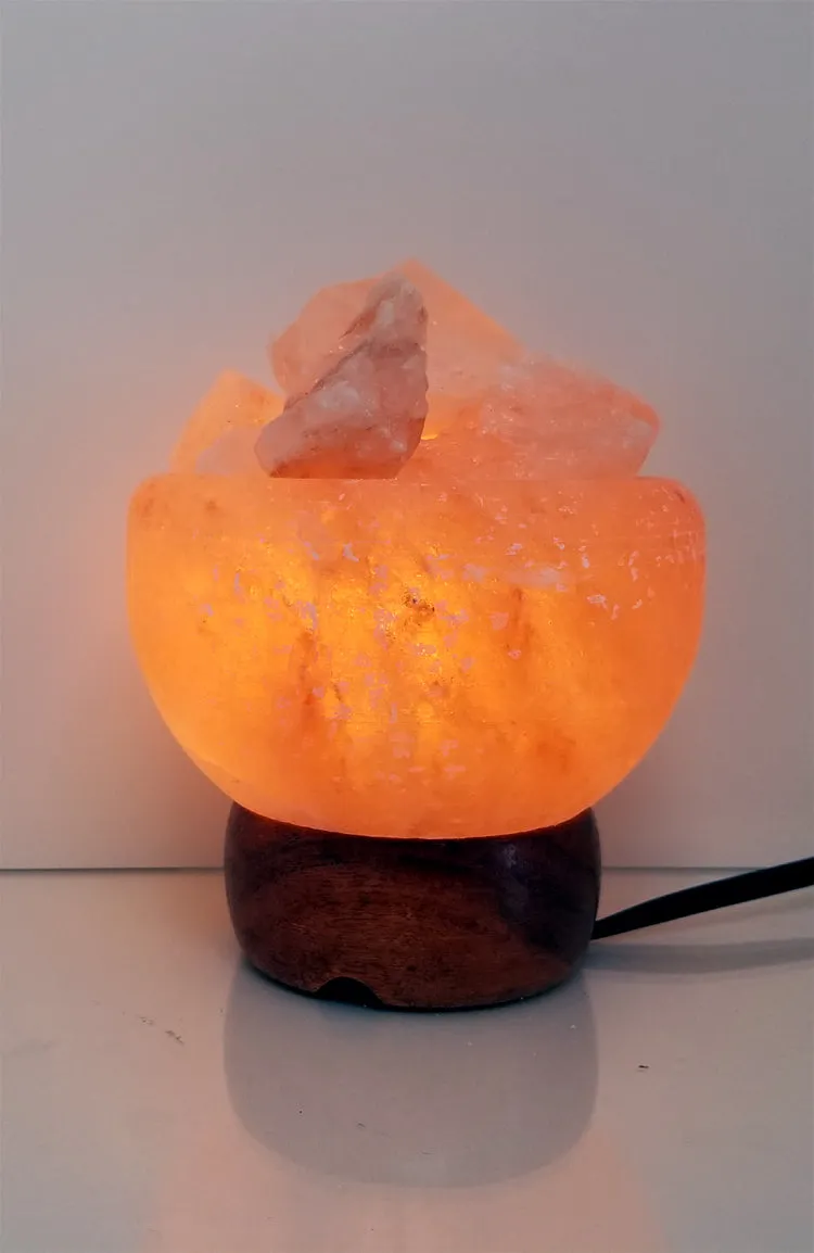 Himalayan Salt Lamp ~ Carved 5" Firebowl