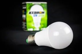 Kedron 9 Watt 12V DC LED Bulb