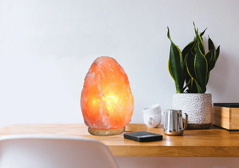 Natural Himalayan Salt Lamp Night Light USB