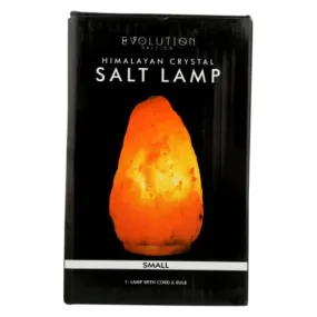 Natural Salt Lamp 1 Count By Evolution Salt