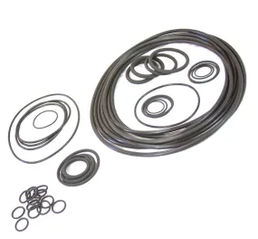 O-Ring Kit with Module Sight Glass PE80256ORING