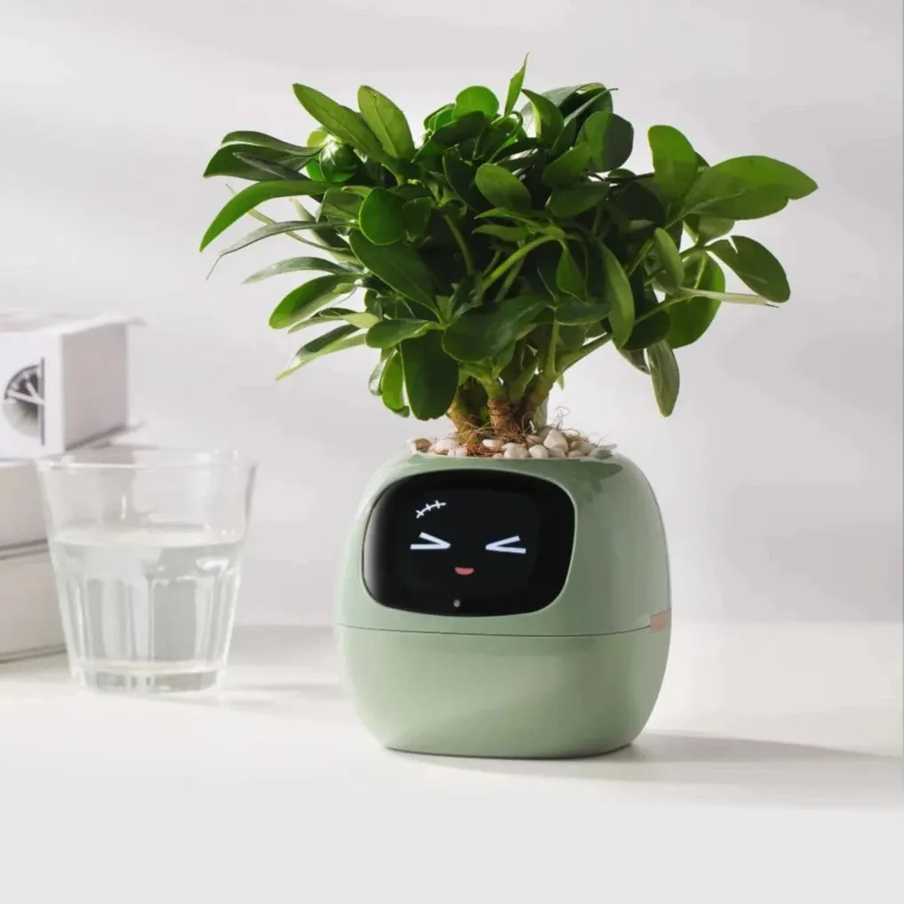 Plantsio Ivy Smart Planter | 7 smart sensors ; Ai Chips