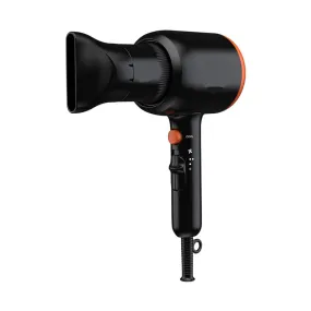 Professional High Speed Ac Motor Salon Barber Hair Dryer En-6105