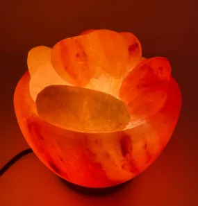 Salt lamp - Heart Shaped Abundance Bowl Medium