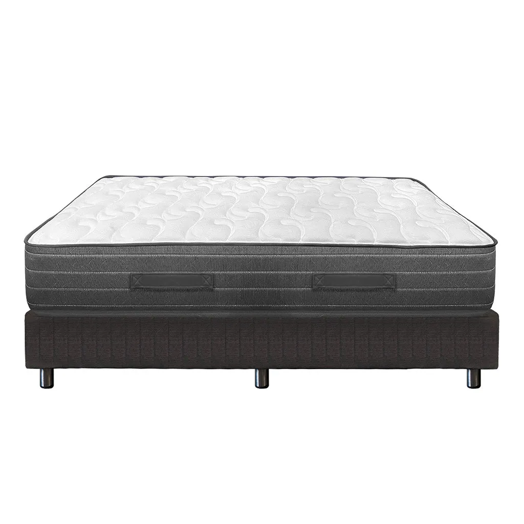 Sealy PosturePremier - Success Mattress