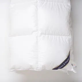 Snuggle Soft 600 Winter Weight Down Comforter - Queen (90" x 90")